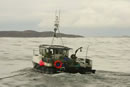 Scottish Creel Fishermen's Federation: click for larger