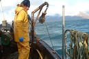 Scottish Creel Fishermen's Federation: click for larger