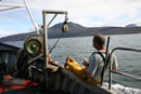 Scottish Creel Fishermen's Federation: click for larger