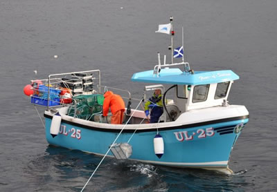Scottish Creel Fishermen's Federation : Creel Boat at Work