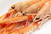 Scottish Creel Fishermen's Federation Prawn